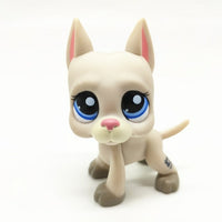 Lps Pet (Dog & Cat)