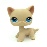 Lps Pet (Dog & Cat)