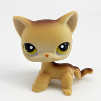 Lps Pet (Dog & Cat)