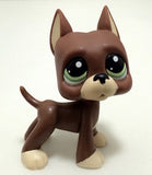 Lps Pet (Dog & Cat)