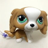 Lps Pet (Dog & Cat)