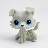 Lps Pet (Dog & Cat)